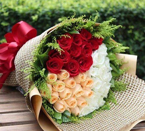 yolo247 Grants Commission